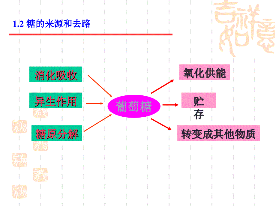 动物生物化学+8+糖类代谢_第4页