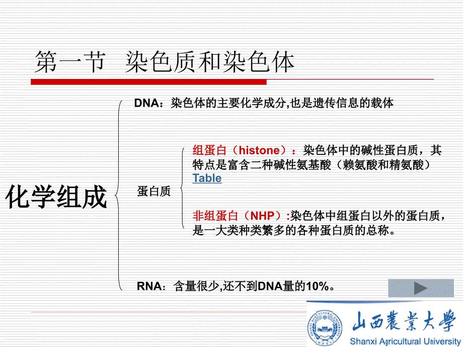 基因和基因组1已作_第2页