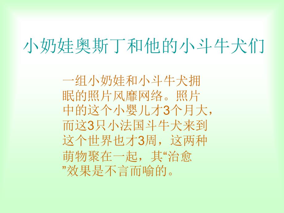 小奶娃奥斯丁和他的小斗牛犬们_第1页