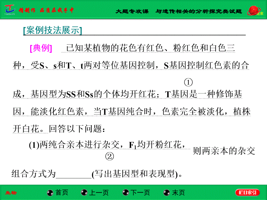 大题专攻课与遗传相关的分析探究类试题_第3页