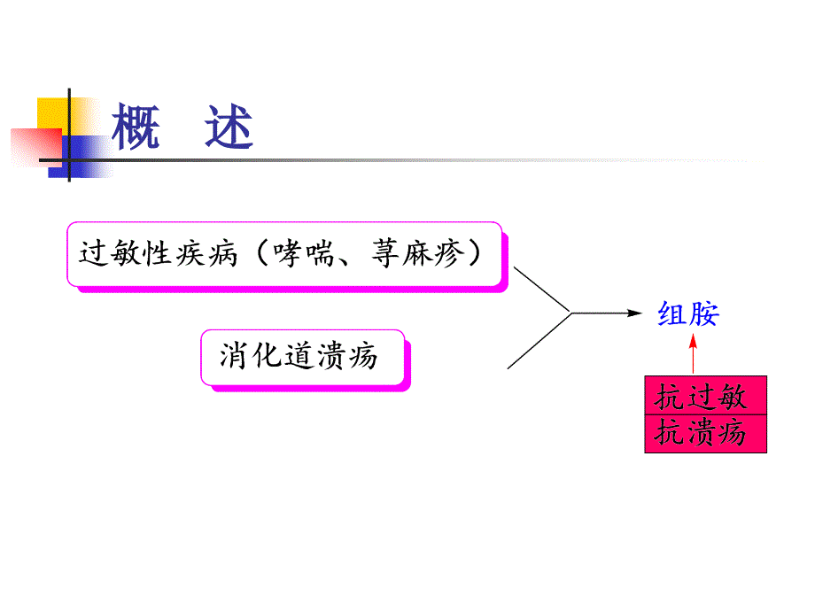 《抗过敏药》课件_第2页