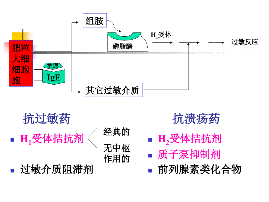 《抗过敏药》课件_第4页