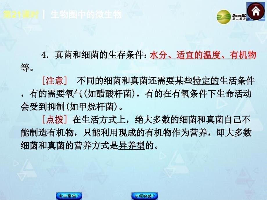 中考生物复习方案生物圈中的微生物考点聚焦+专项突破,含2013试题课件新人教_第5页