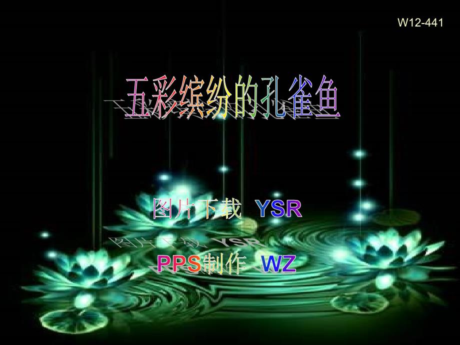 《彩缤纷的孔雀鱼》ppt课件_第1页