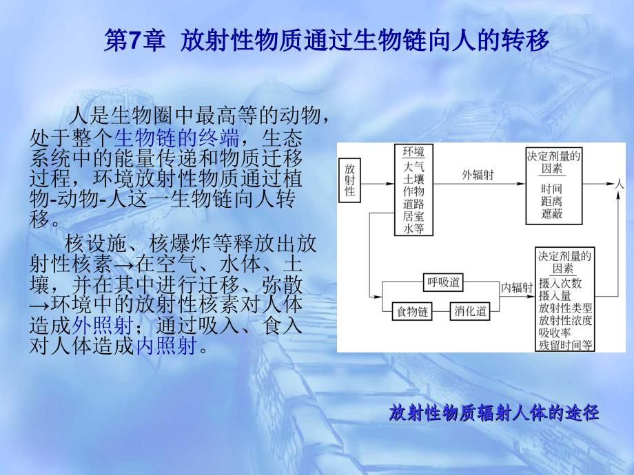 核环境监测与评价第7章放射性物质通过生物链向人的转移_第1页