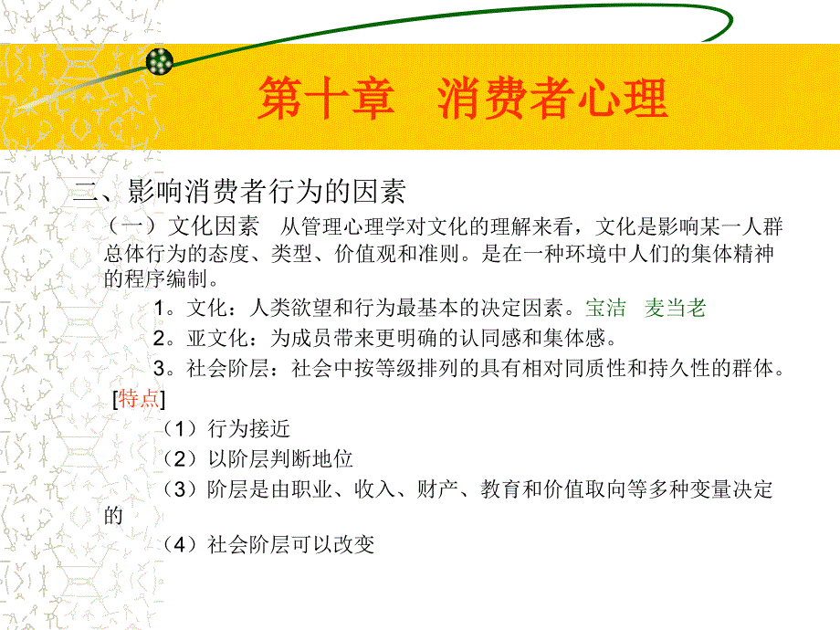 《消费者心理》ppt课件_第4页