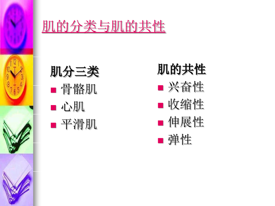 《肌的生物学基础》ppt课件_第2页