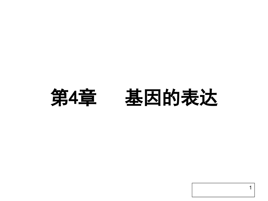 基因指导蛋白质的合成高考第一轮复习_第1页