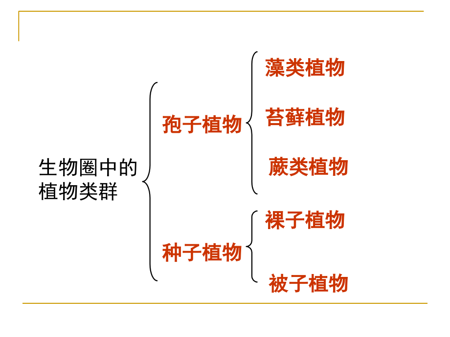 下动物的主要类群北师大_第3页