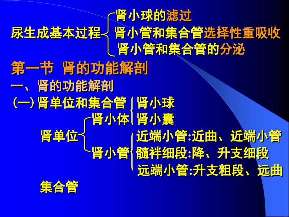 《尿的生成与排除》ppt课件_第3页