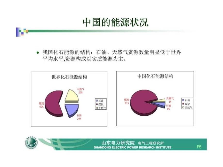 新能源发电及并网技术--山东电力研究院电气工程研究所_第5页