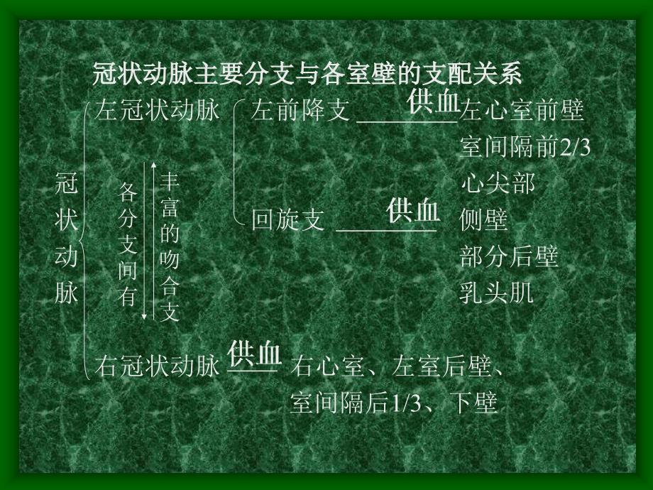 冠状动脉粥样硬化性心脏病冠心病的超声诊断-韩建_第2页