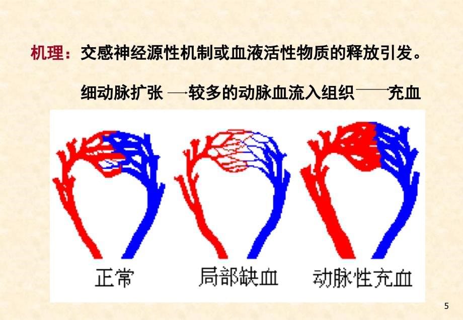 《浅双语血循双语》ppt课件_第5页