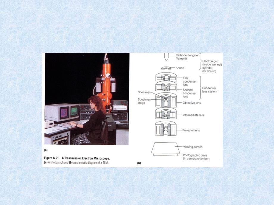 实验透射电子显微镜及电子显微镜的使用_第4页