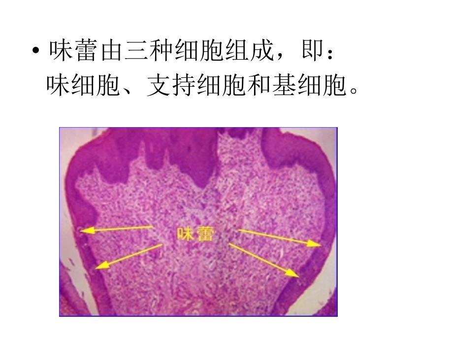 《食品调味剂》课件_第3页