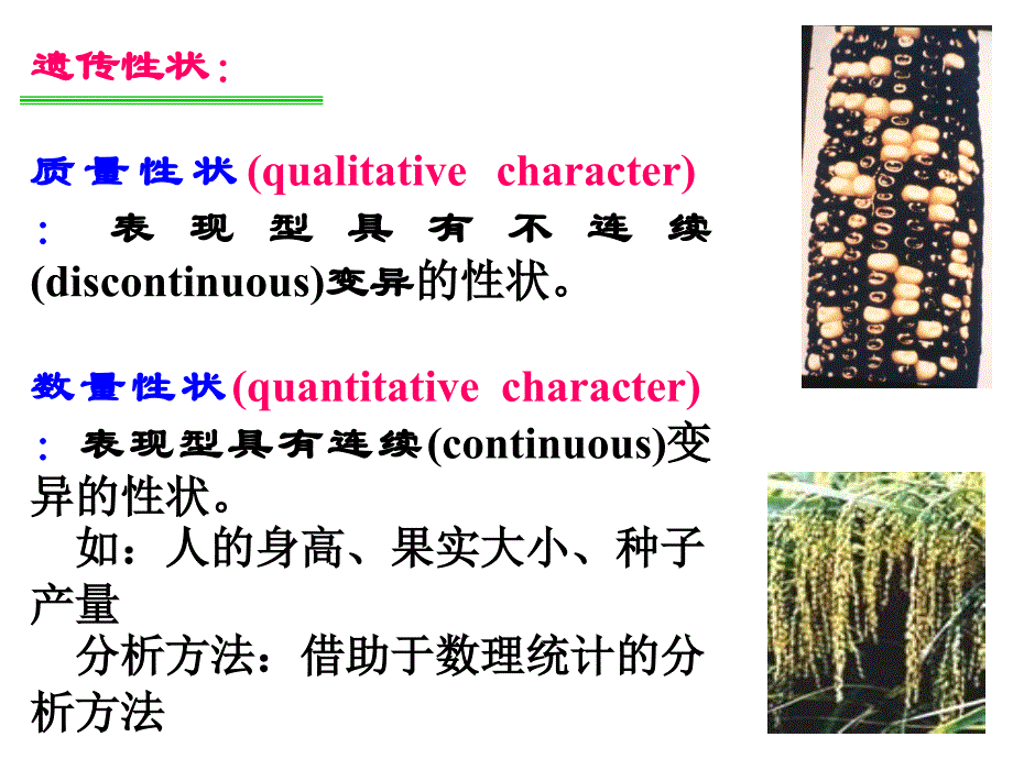 普通遗传学第八章数量性状遗传_第2页