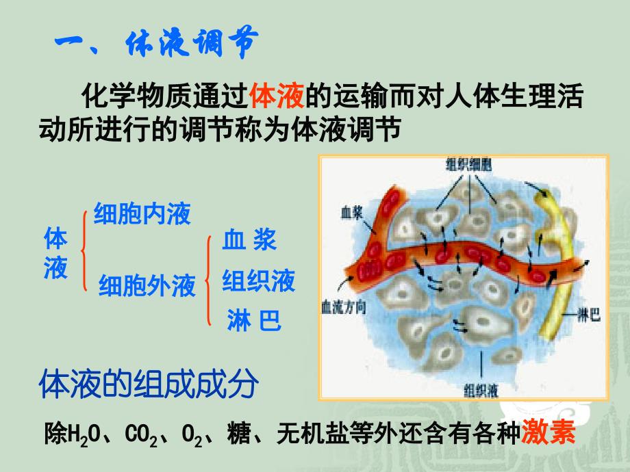 人和高等动物生命活动的调节体液调节_第4页