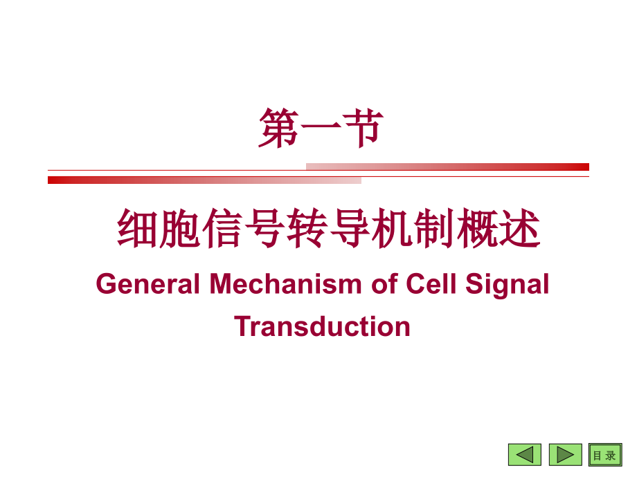 基因表达调控与信号转导的偶联机制_第4页