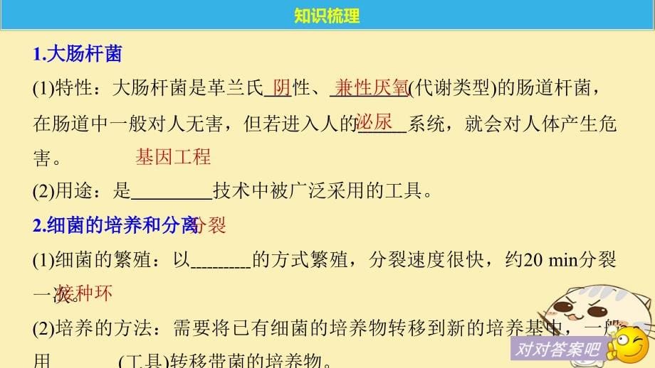 浙江鸭2019版高考生物一轮总复习第九单元生物技术实践第30讲微生物的利用课件_第5页