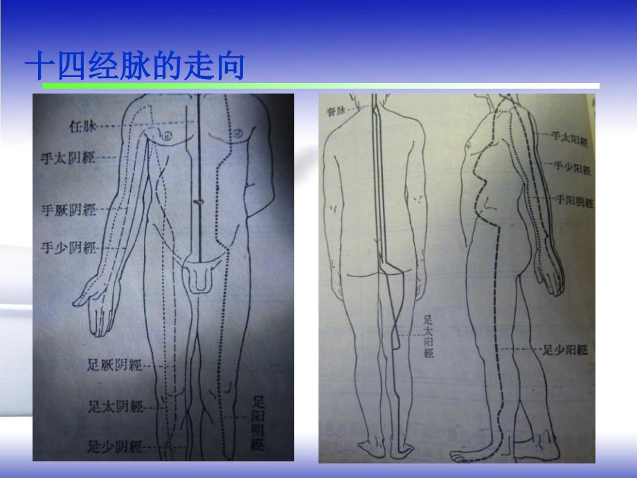 常用急救保健穴的临床应用_第4页