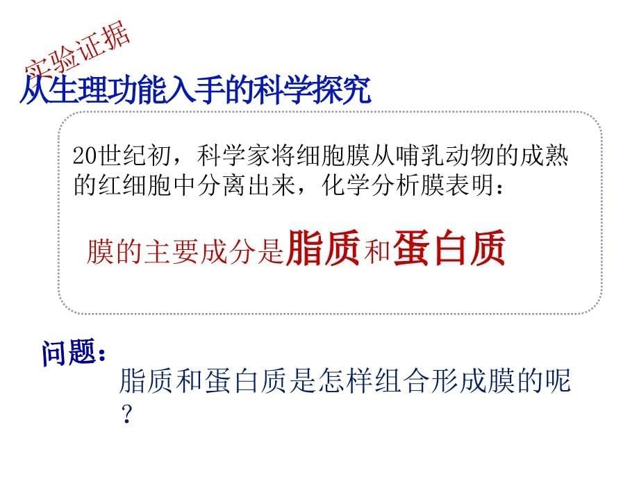 人教版教学课件42生物膜的流动镶嵌模型自制1_第5页