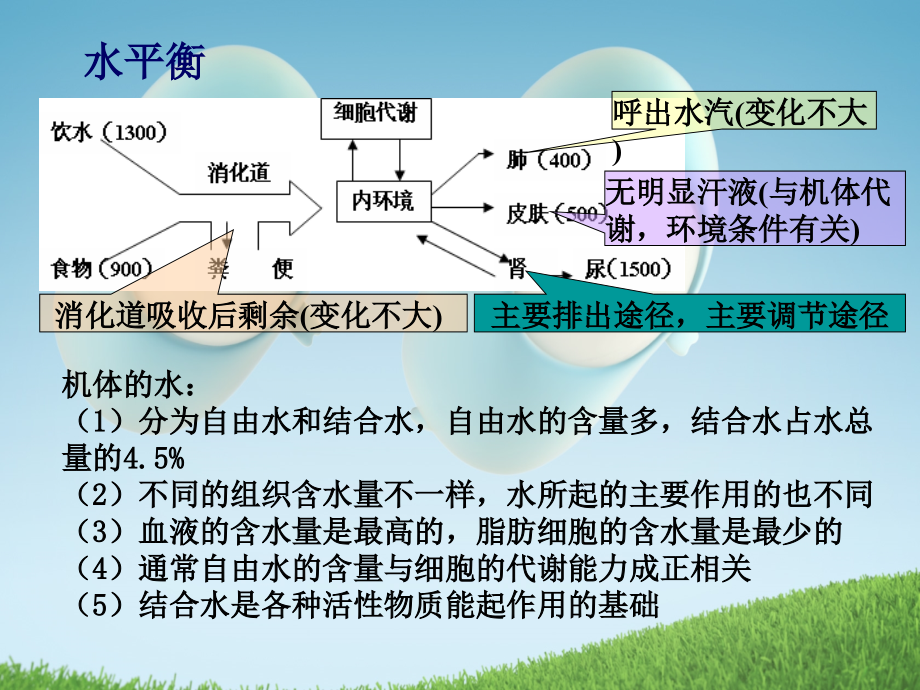 高考生物一轮复习课件：专题十一动物和人体生命活动的调节2必修_第4页