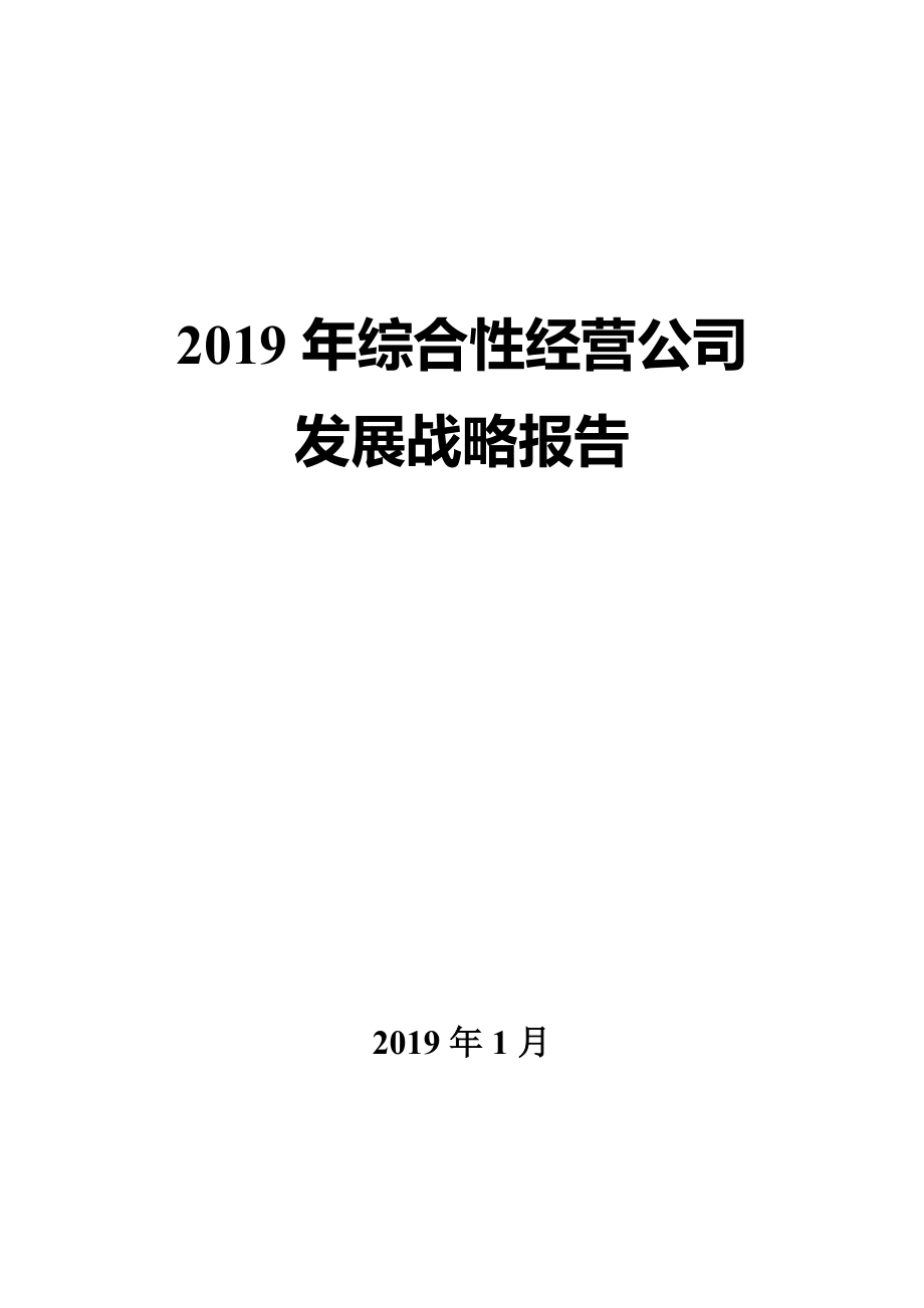 2019年综合性经营公司发展战略报告_第1页