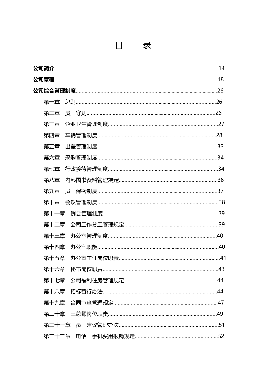 2019年综合性经营公司发展战略报告_第2页