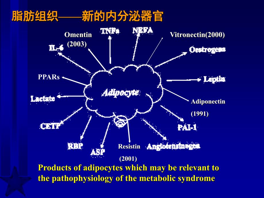 脂肪与胰岛素抵抗新概念修改_第2页