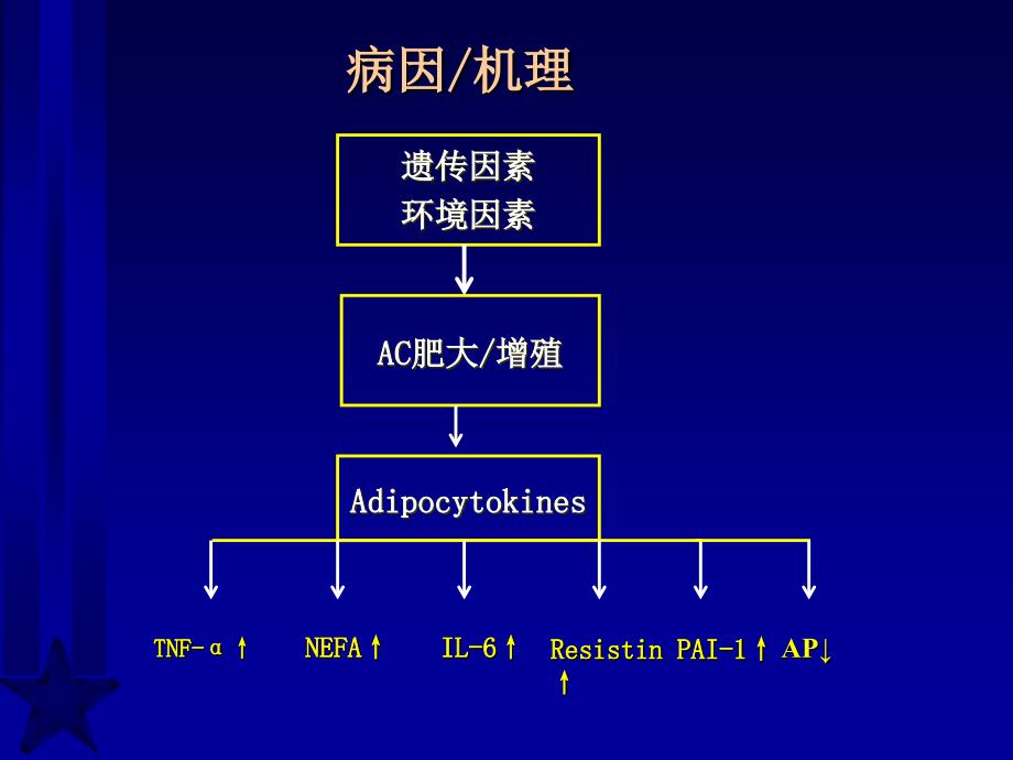 脂肪与胰岛素抵抗新概念修改_第3页