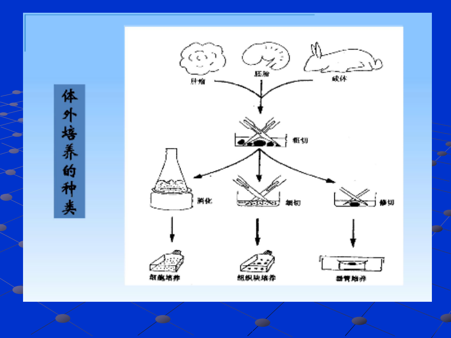 细胞培养室的设施与基本条_第3页