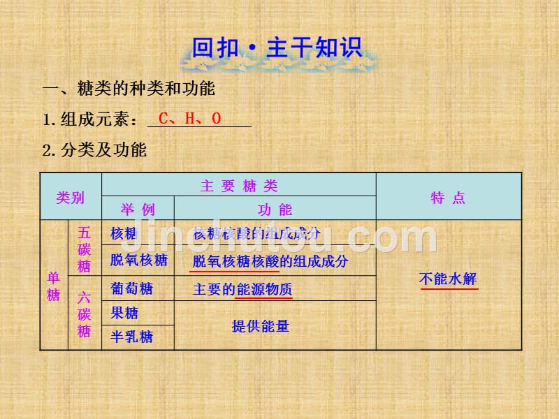 高三生物一轮复习课件：细胞中的生物大分子_第2页