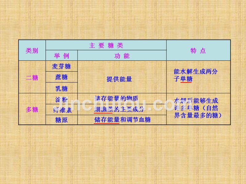 高三生物一轮复习课件：细胞中的生物大分子_第3页