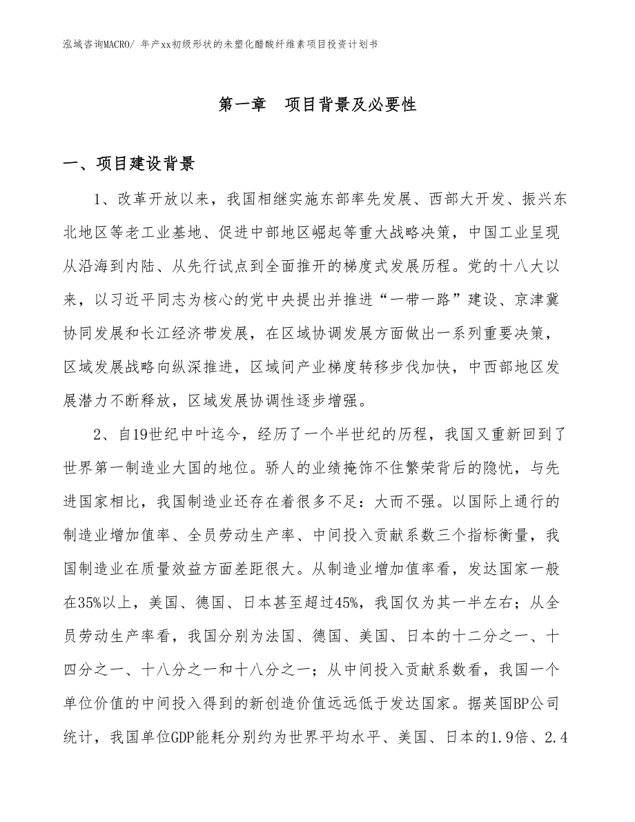 年产xx初级形状的未塑化醋酸纤维素项目投资计划书_第3页