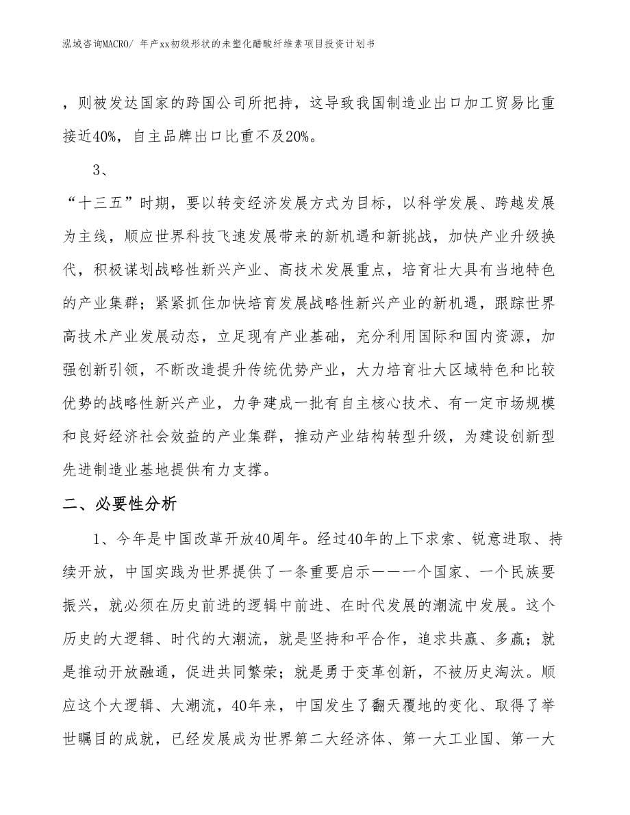 年产xx初级形状的未塑化醋酸纤维素项目投资计划书_第5页