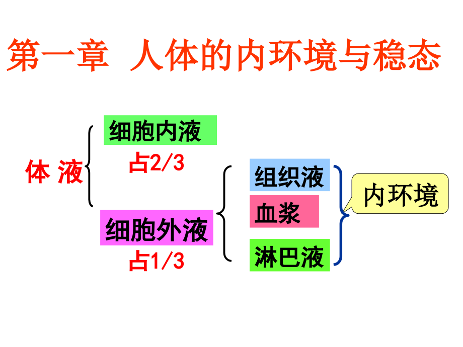 高中生物必修3复习1_第1页