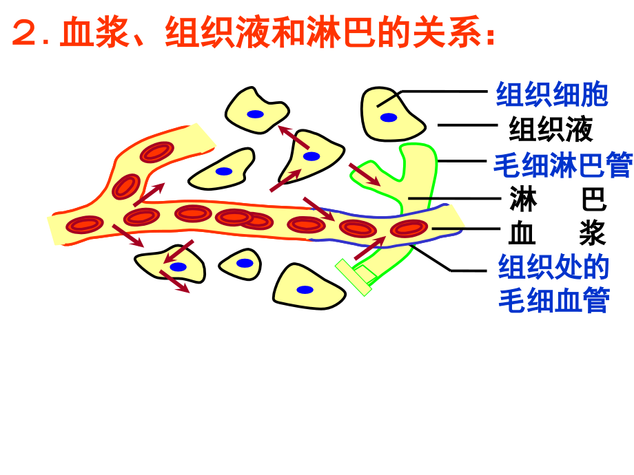 高中生物必修3复习1_第2页