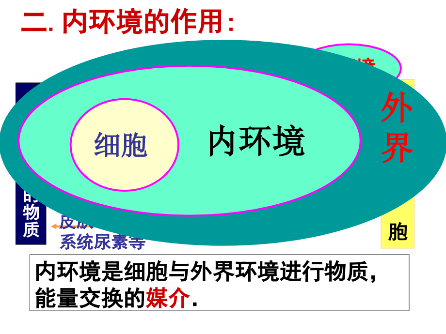 高中生物必修3复习1_第4页