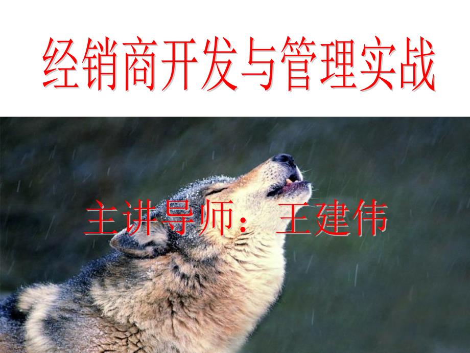 经销商开发与管理实战特训》讲师_第1页