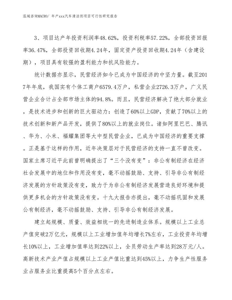 年产xxx汽车清洁剂项目可行性研究报告_第5页