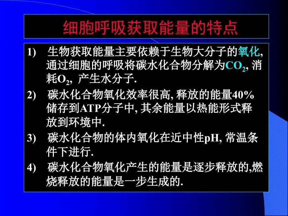 糖酵解与氧化磷酸化_第5页