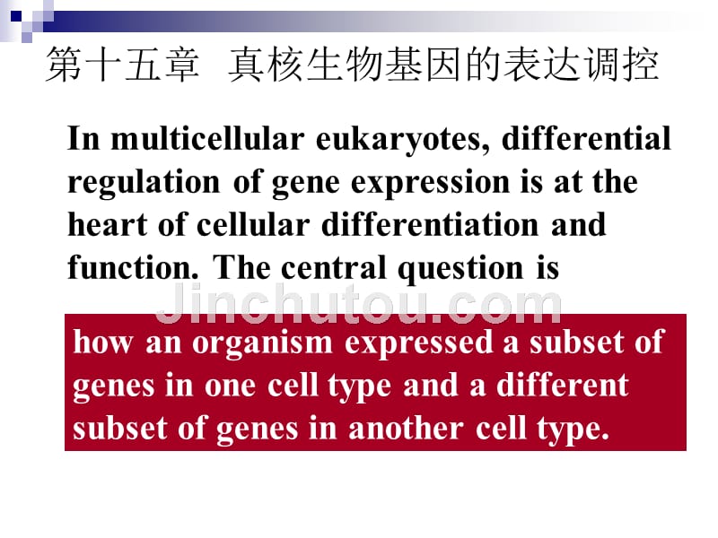 真核生物的基因表达及其调控g_第1页