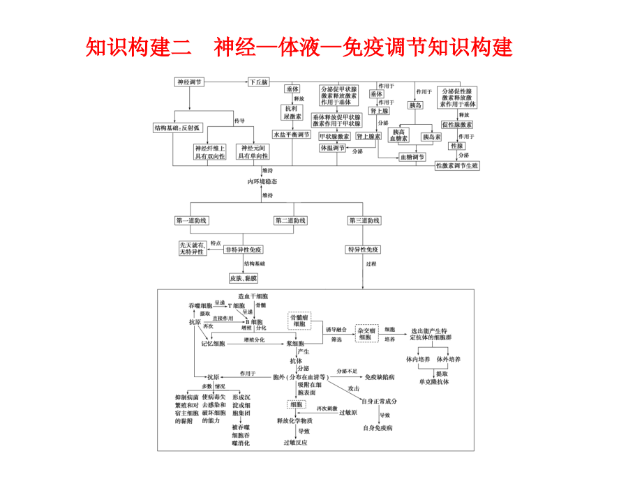 课时 生命活动调节的知识梳理与题型探究_第4页