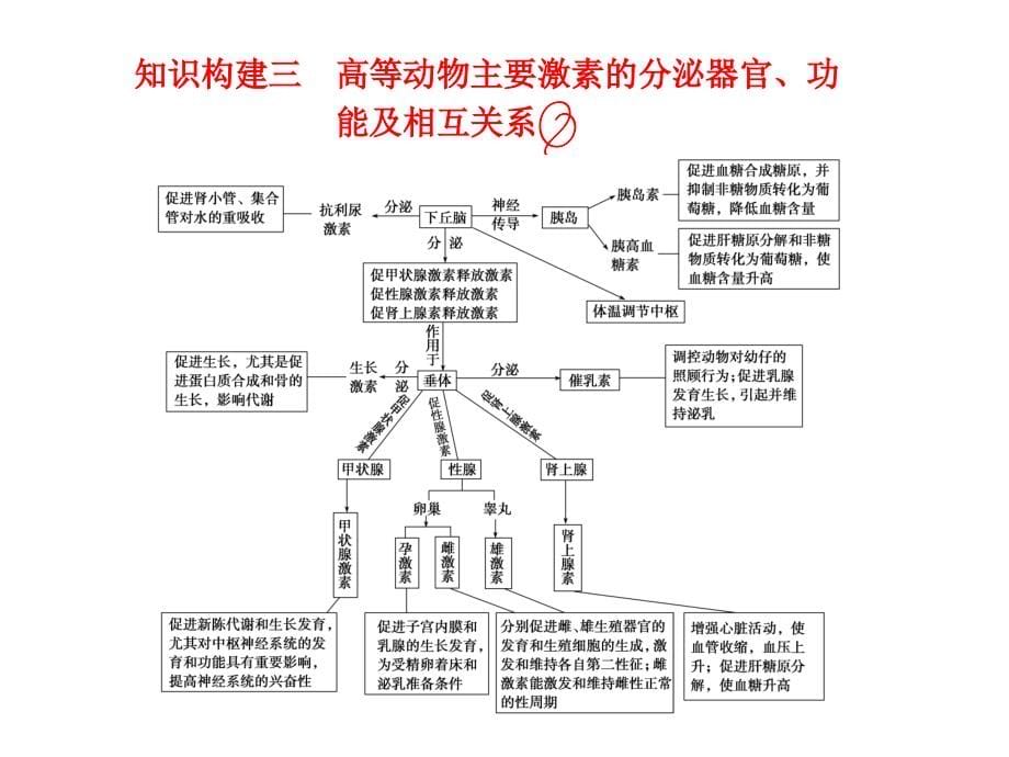 课时 生命活动调节的知识梳理与题型探究_第5页