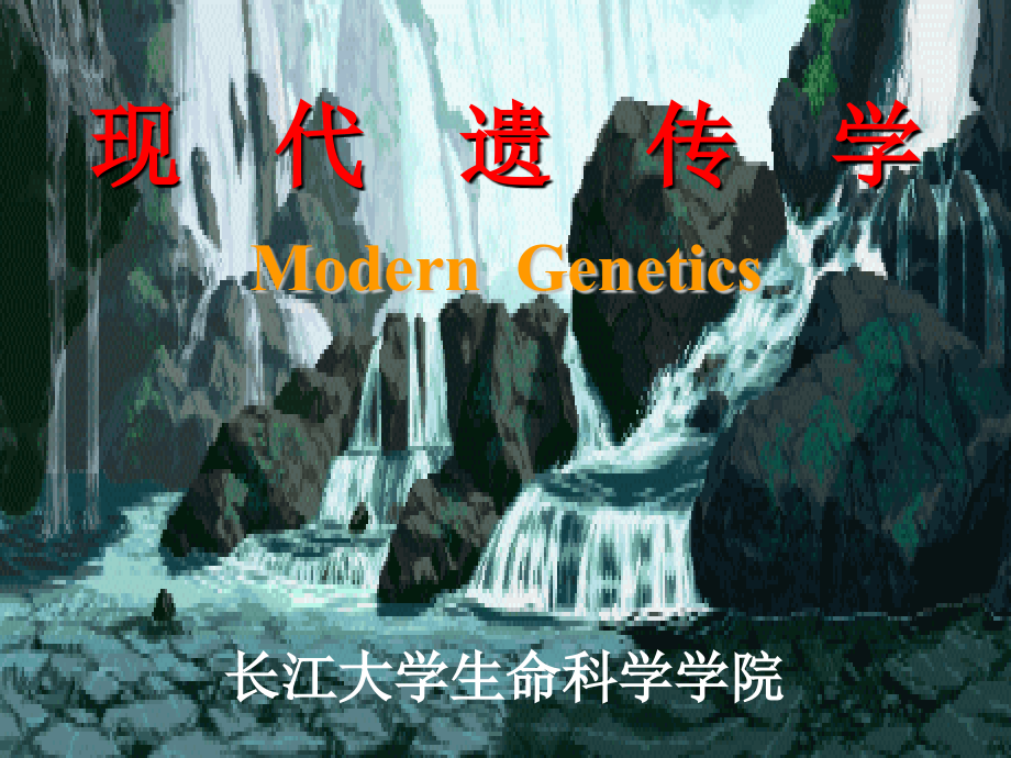 群体遗传与进化1_第1页