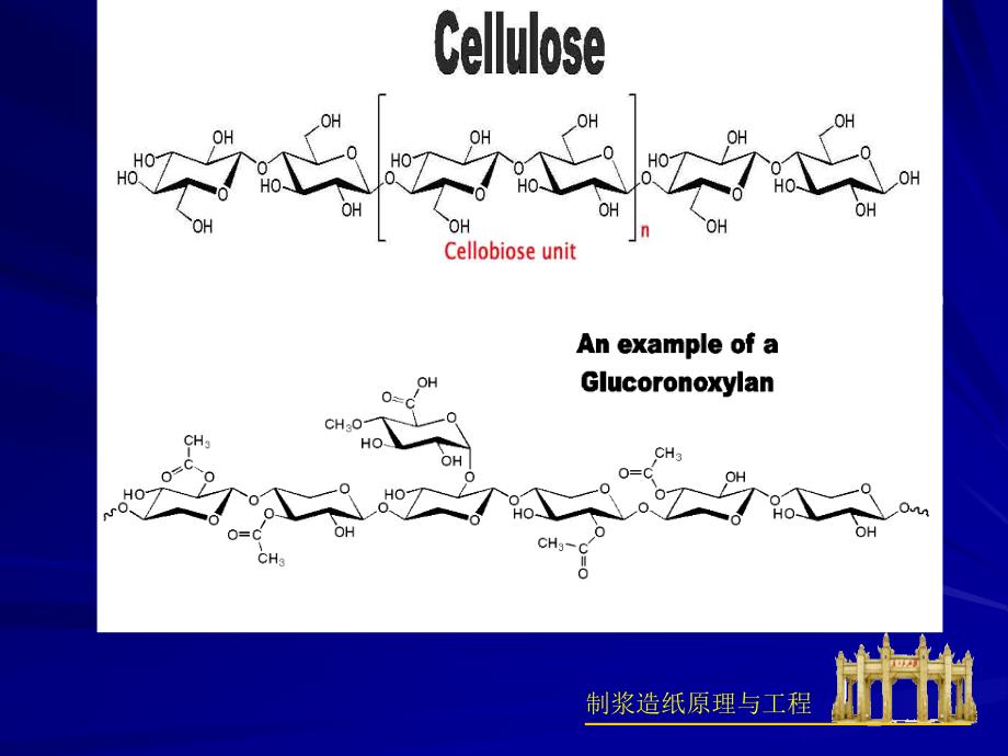 制浆原理与工程 前言_第3页