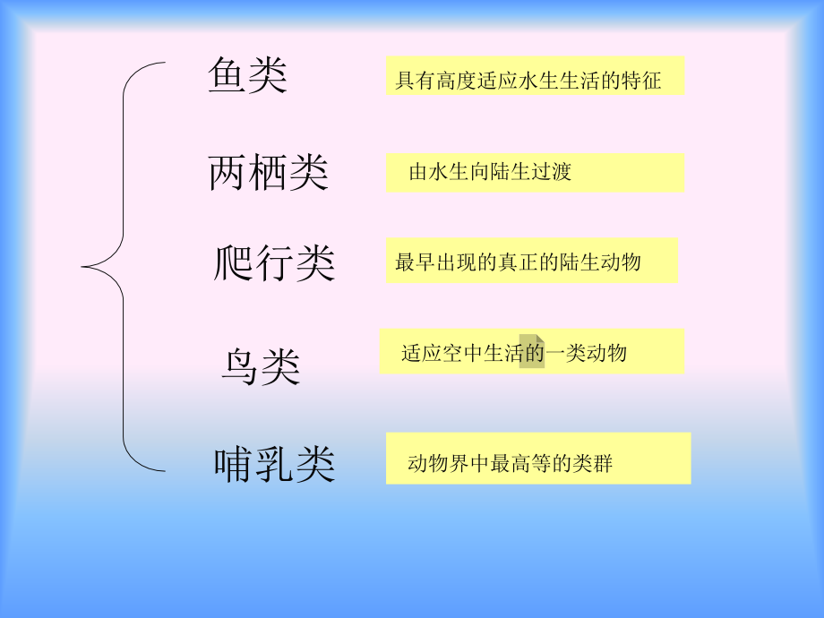 脊椎动物与无脊椎动物主要介绍无脊椎动物_第3页