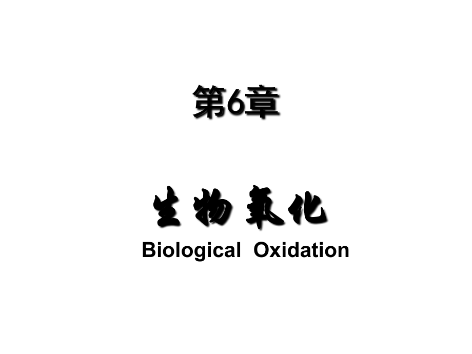 生物氧化-10本科班_第1页