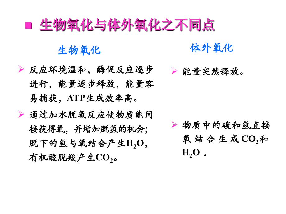 生物氧化-10本科班_第4页