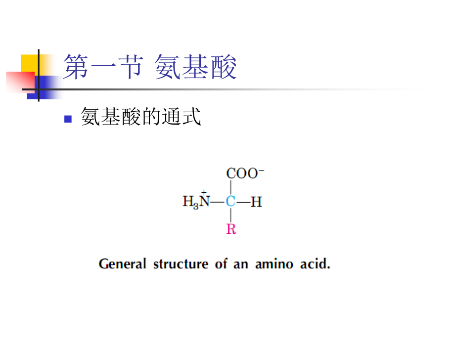 生物化学第二章蛋白质化学_第2页